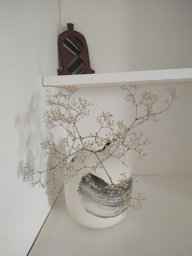 Terre En Mer ปอร์-หลุยส์ ภายนอก รูปภาพ